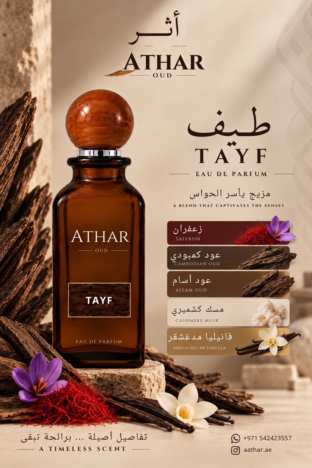 Tayf